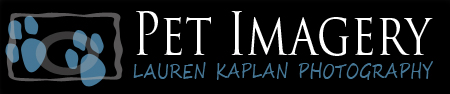 Pet Imagery by Lauren Kaplan Photography, Philadelphia, PA Pet Photography logo