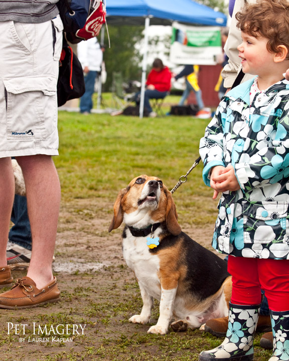 tail waggers strut 2011 3