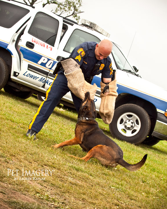 tail waggers strut 2011