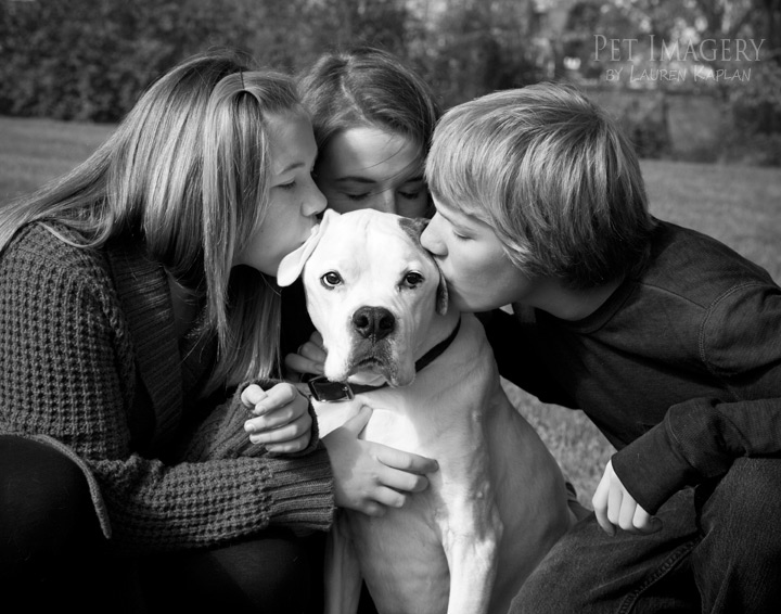 kisses from milo boxer best pet photography pet imagery kaplan