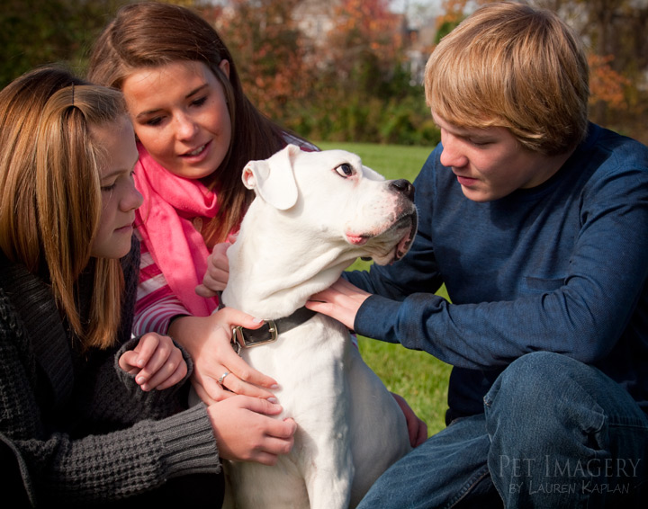surrounding milo with love boxer best pet photography pet imagery kaplan