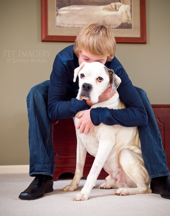 hugs for milo boxer best pet photography pet imagery kaplan