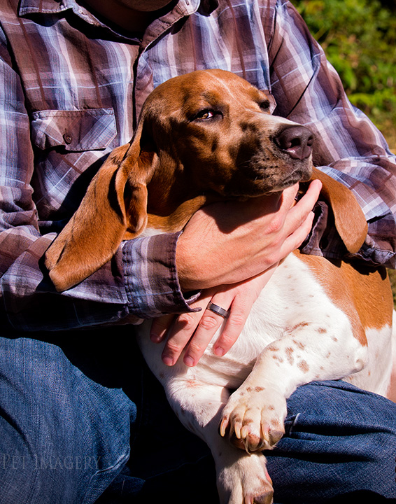 philadelphia, pa, pet imagery best photographer