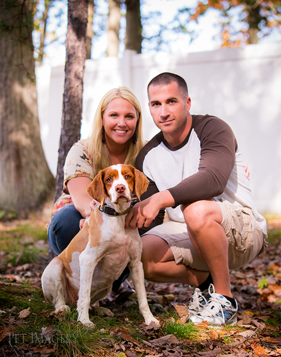 brittany spaniel pet imagery, best pet photographer, new jersey