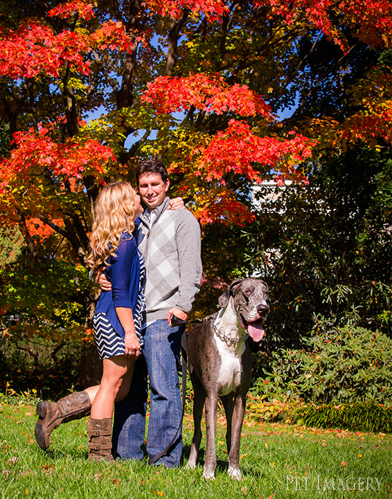 engagement session great dane kaplan
