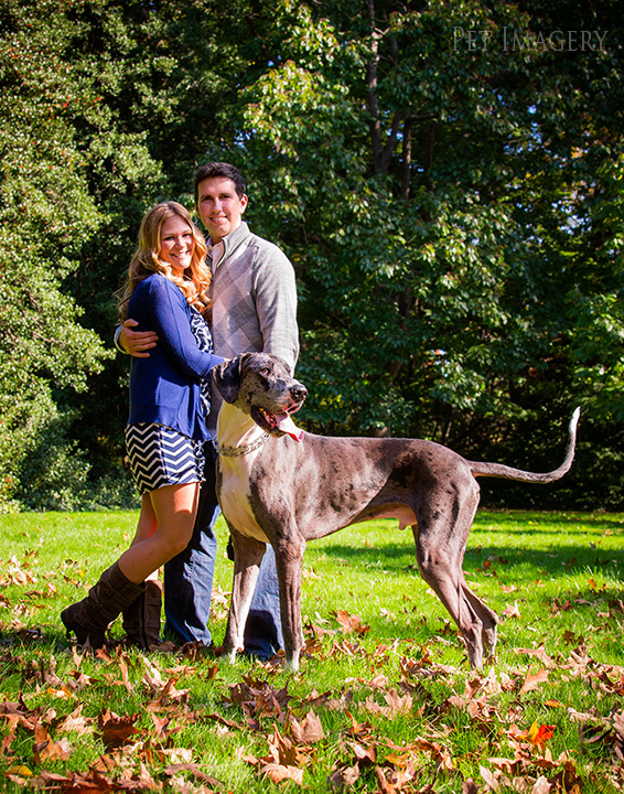 engagement session great dane kaplan