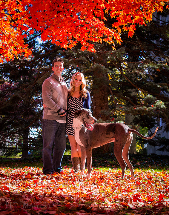 engagement session great dane kaplan