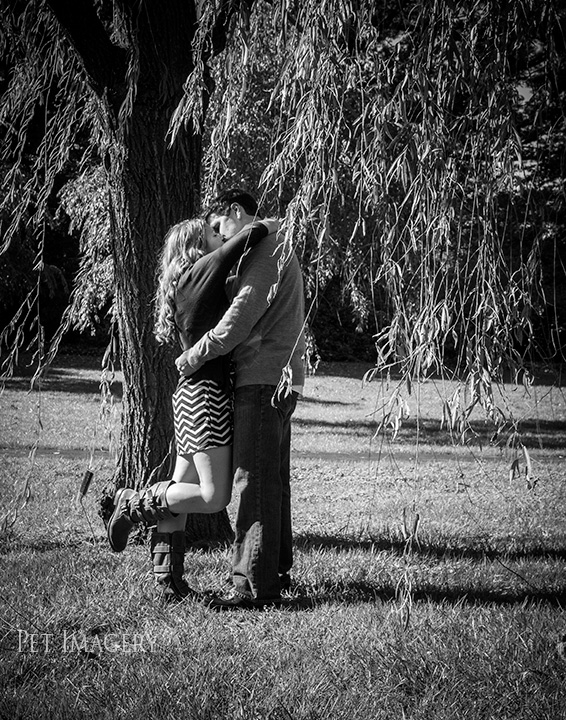 engagement session great dane kaplan