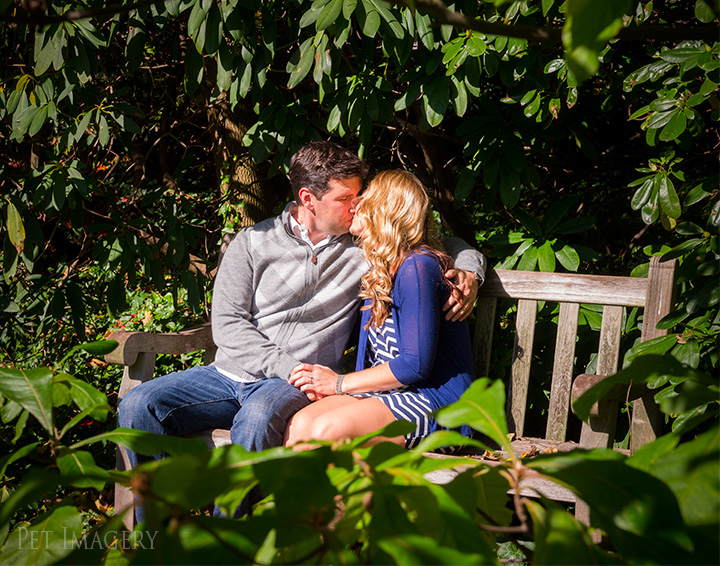 engagement session great dane kaplan