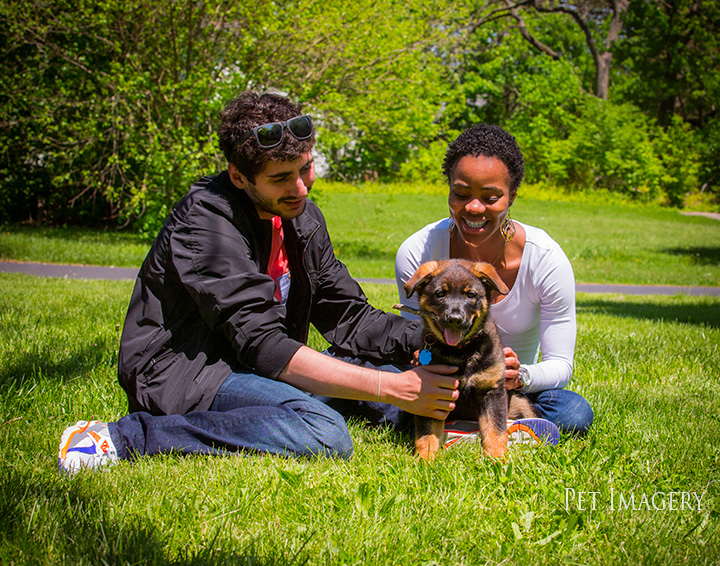 best pet photography pa kaplan