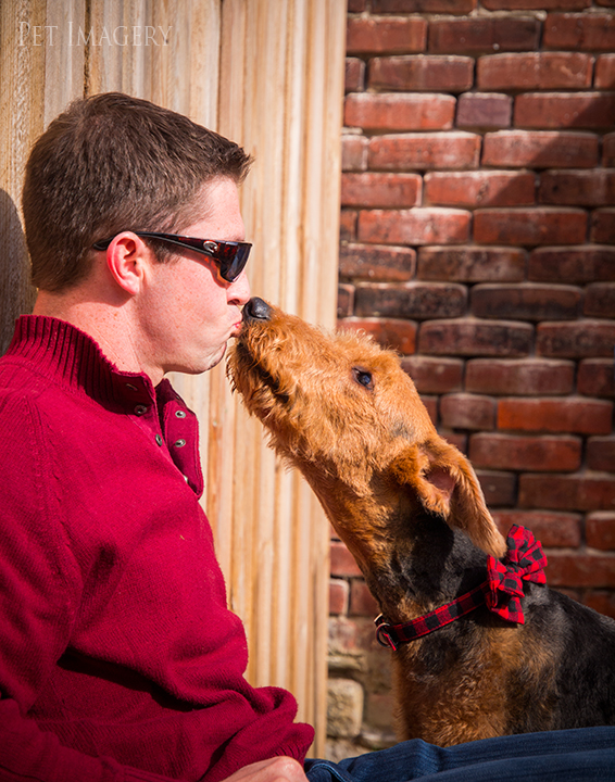 airedale terriers philadelphia pet photography kaplan
