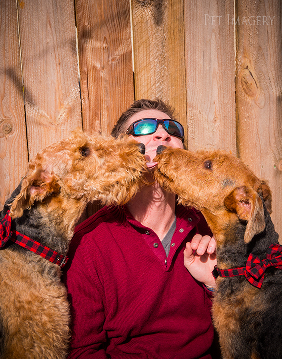 airedale terriers philadelphia pet photography kaplan