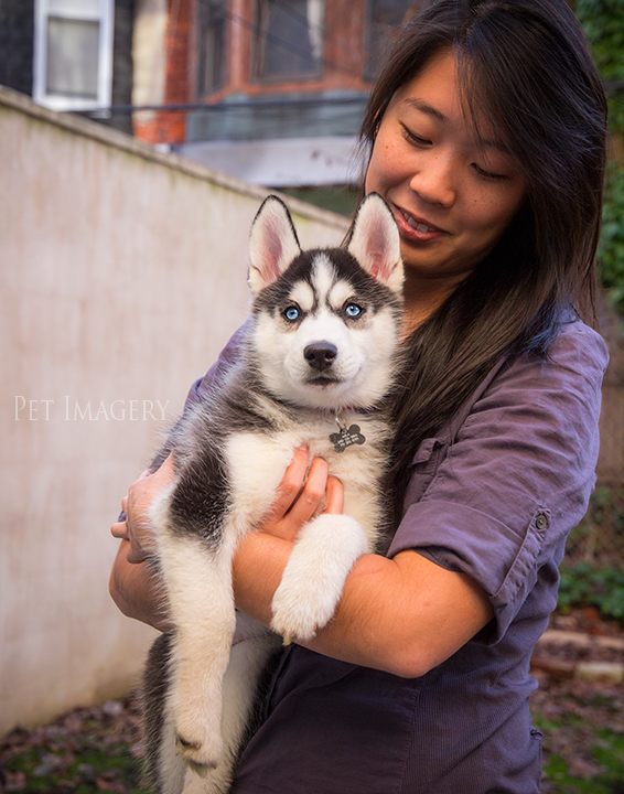 happy in moms arms best pet photography pa kaplan