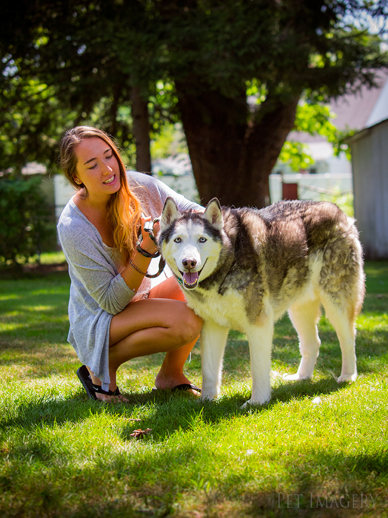 best pet photography kaplan