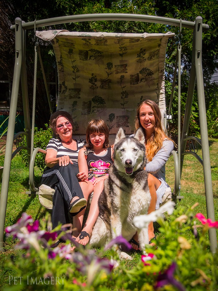 best pet photography kaplan