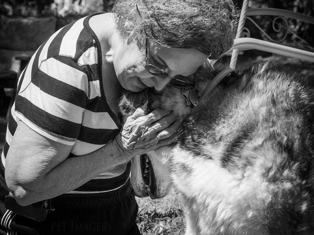 best pet photography kaplan