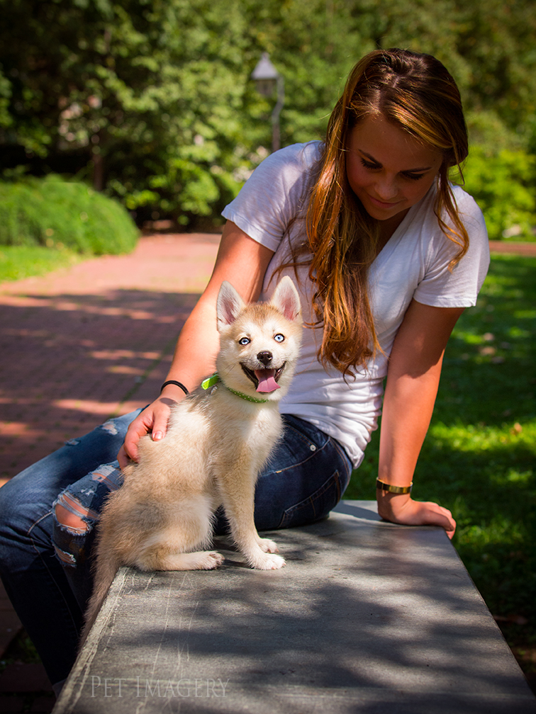 new pet photography kaplan