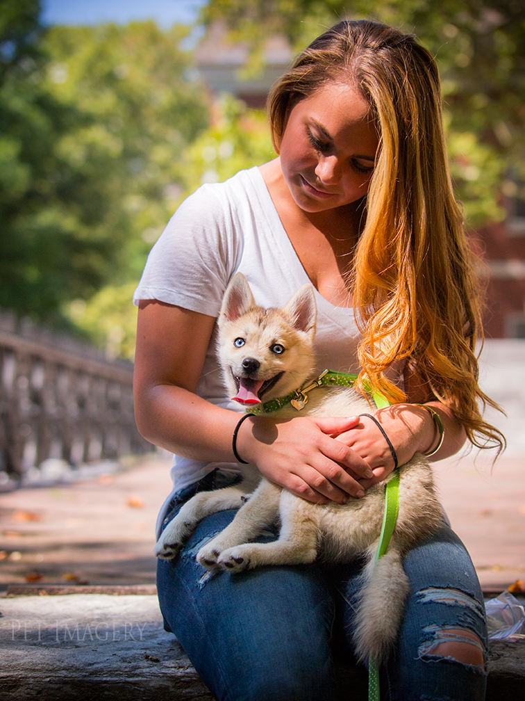 new pet photography kaplan