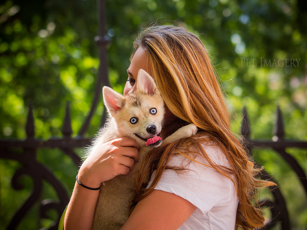 new pet photography kaplan