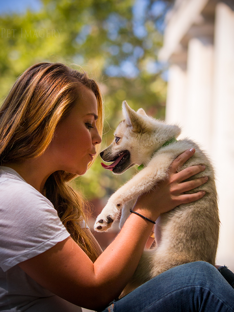 new pet photography kaplan