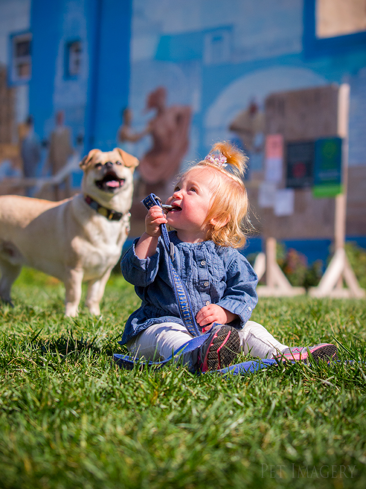 best pet photography kaplan