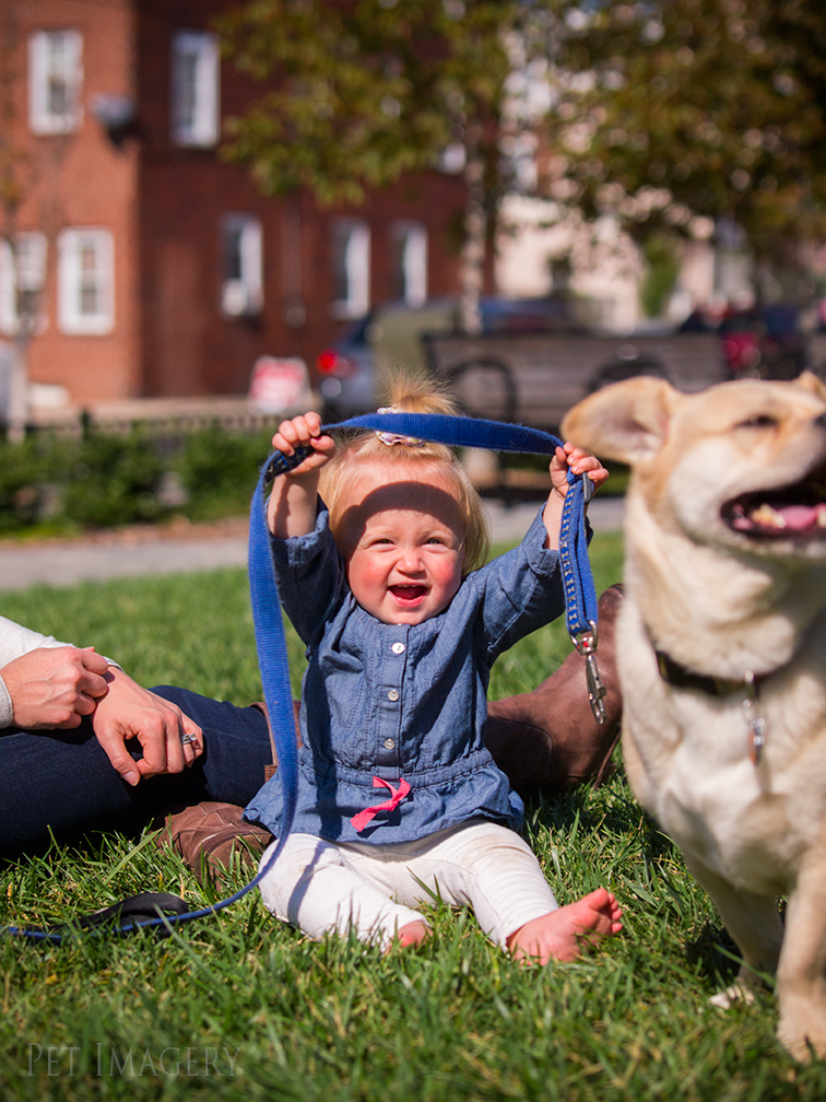 best pet photography kaplan