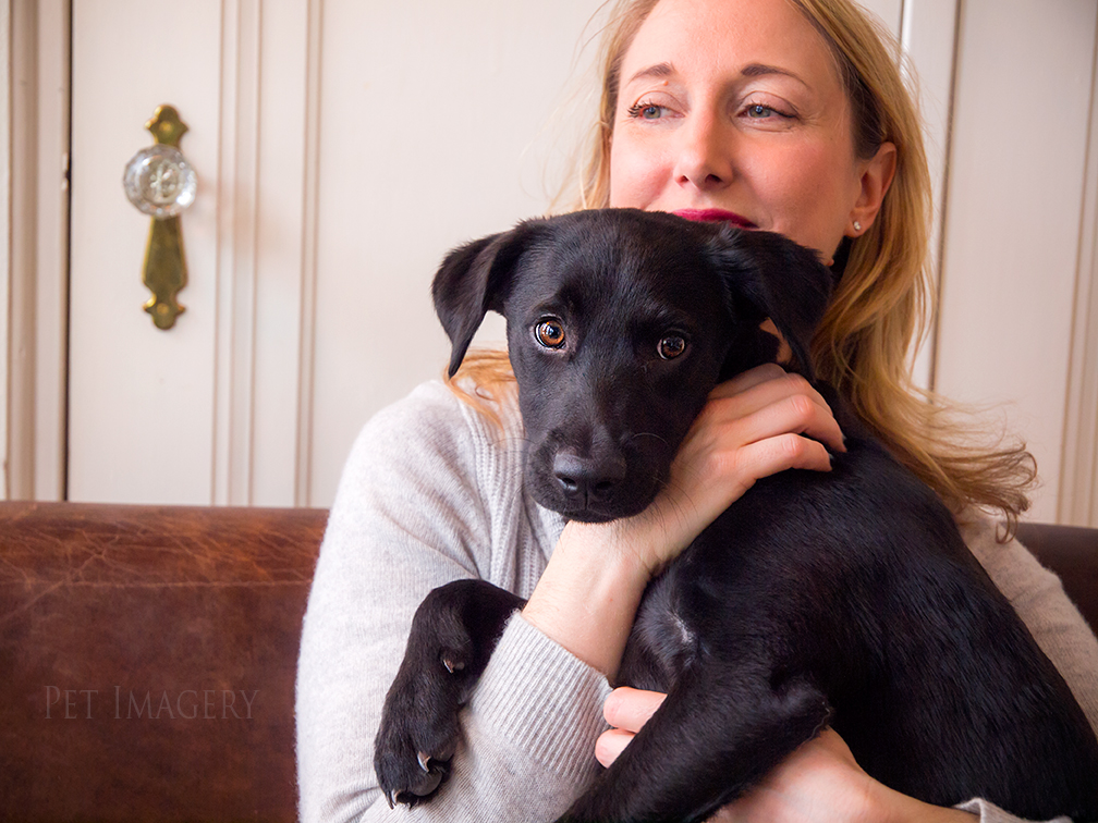 best pet photography kaplan