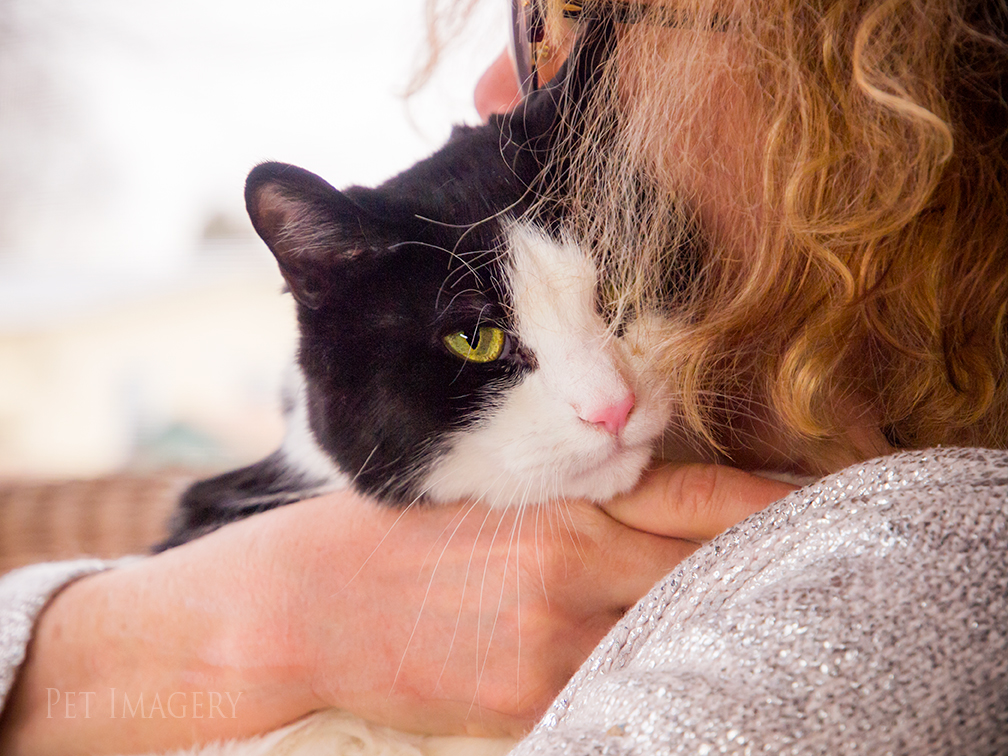 best pet photography kaplan