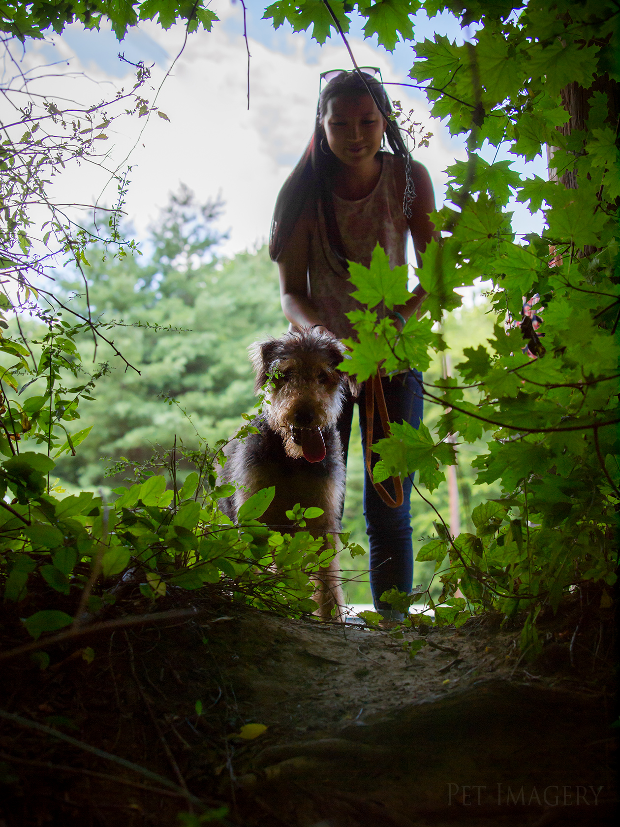 best pet photography pet imagery kaplan