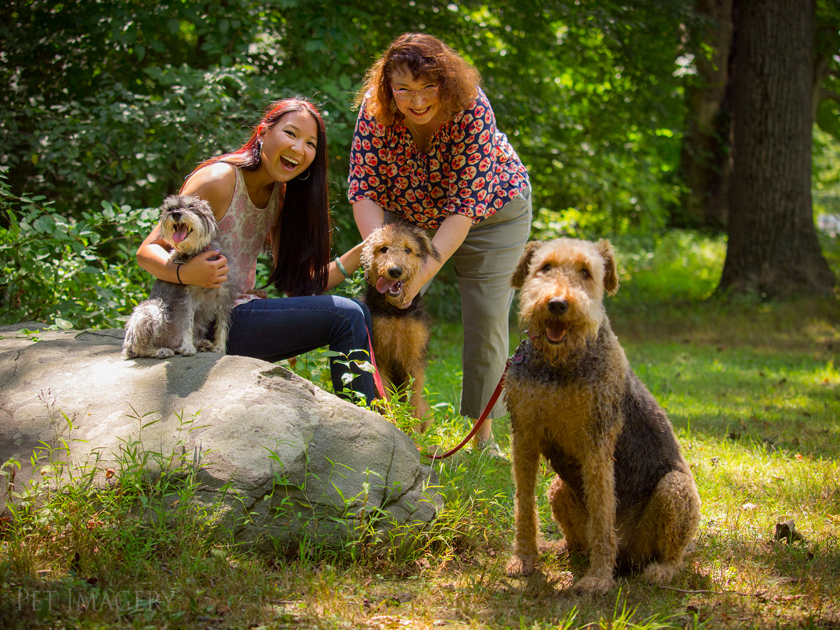 best pet photography pet imagery kaplan