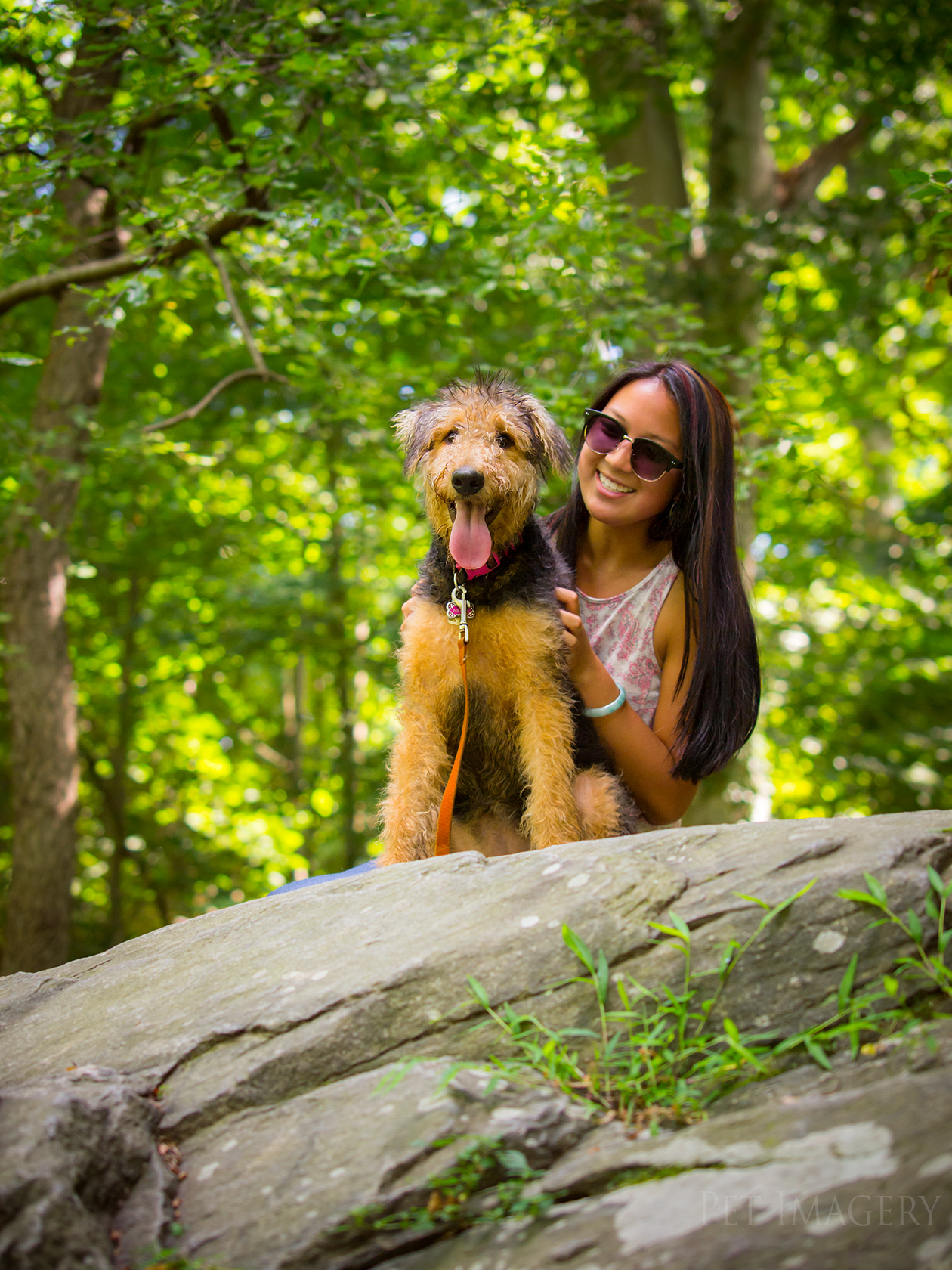 best pet photography pet imagery kaplan