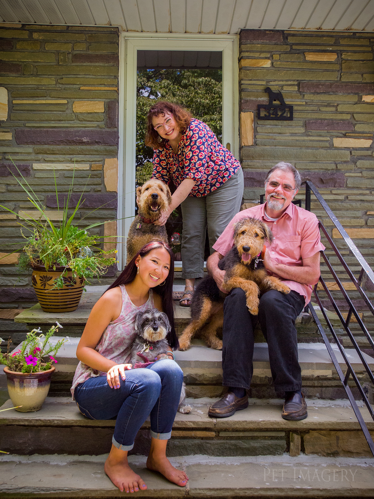 best pet photography pet imagery kaplan