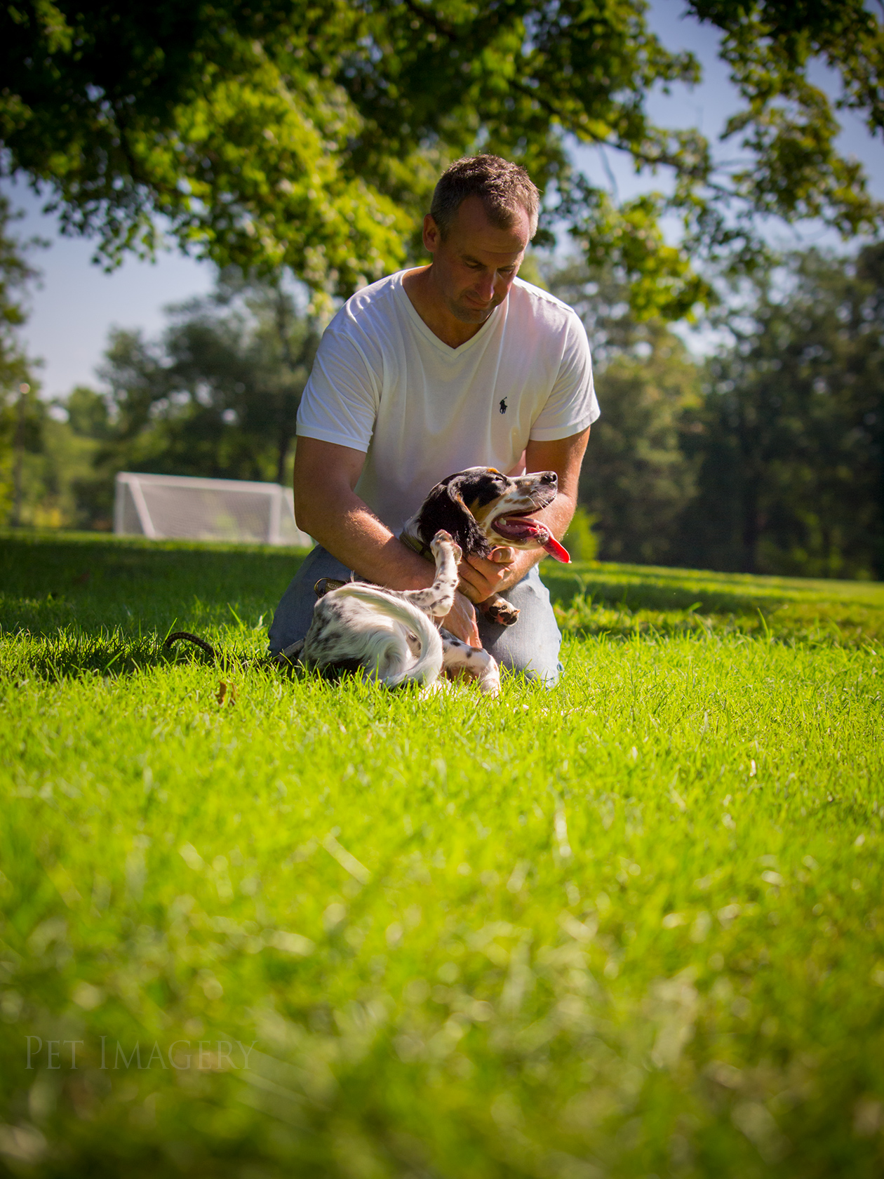 best pet photography kaplan