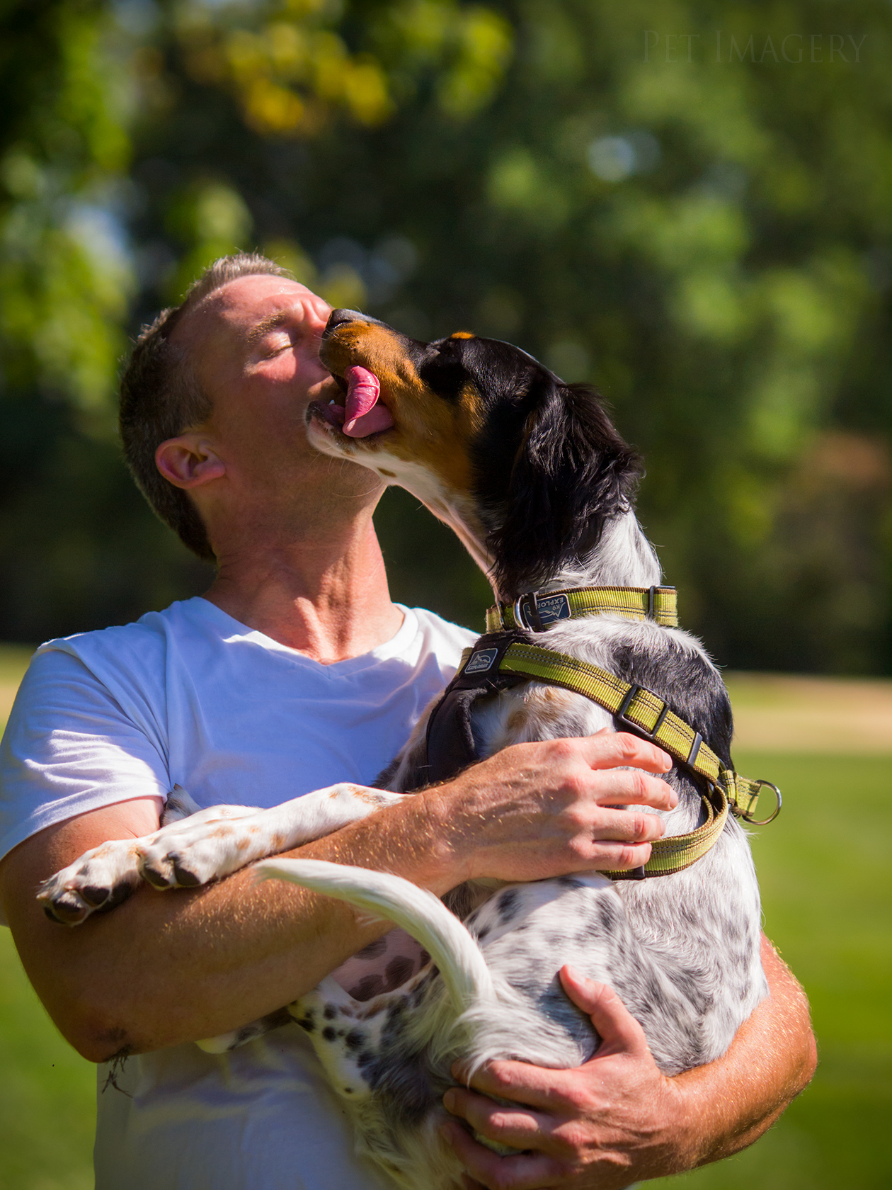 best pet photography kaplan