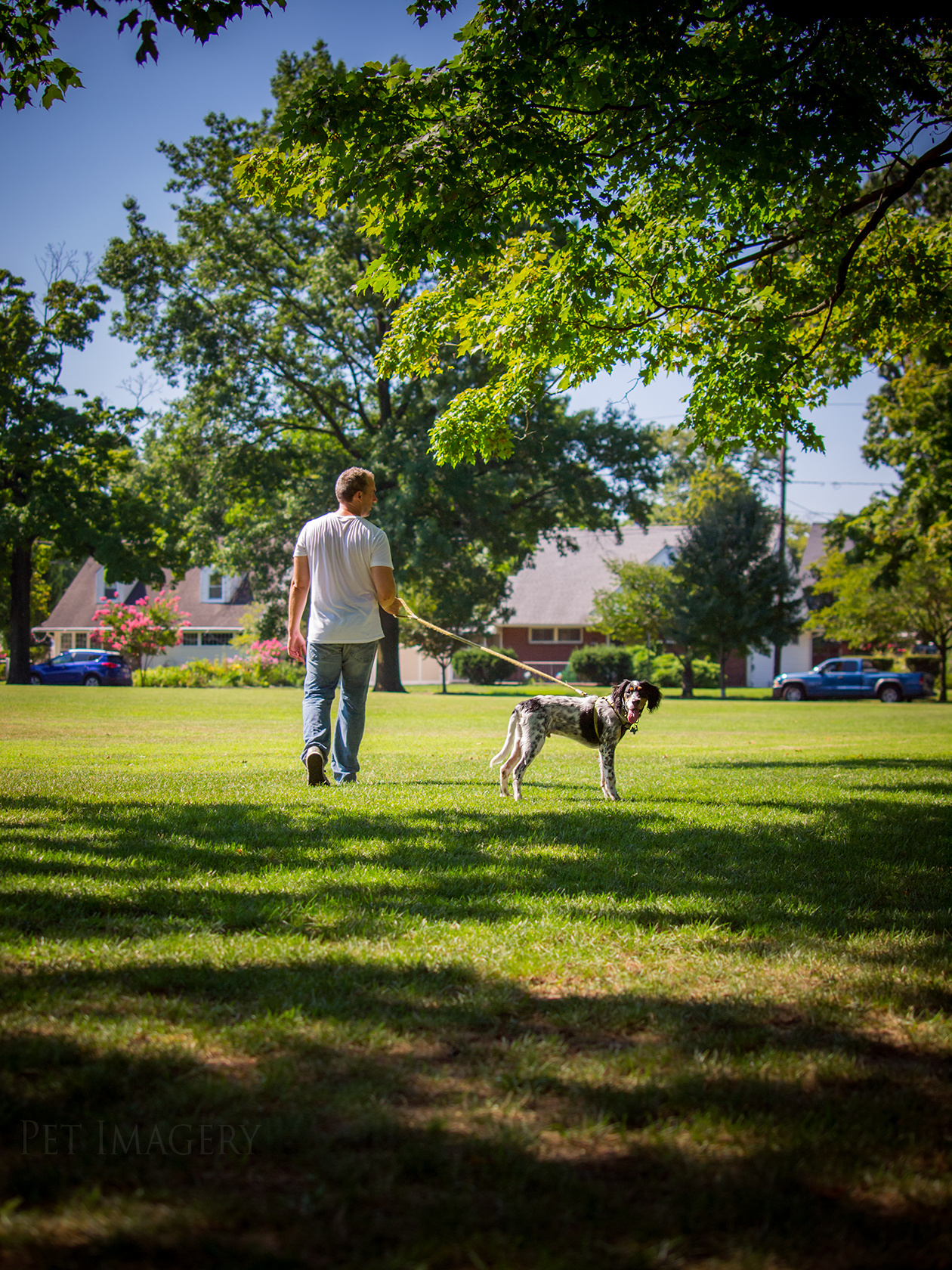 best pet photography kaplan