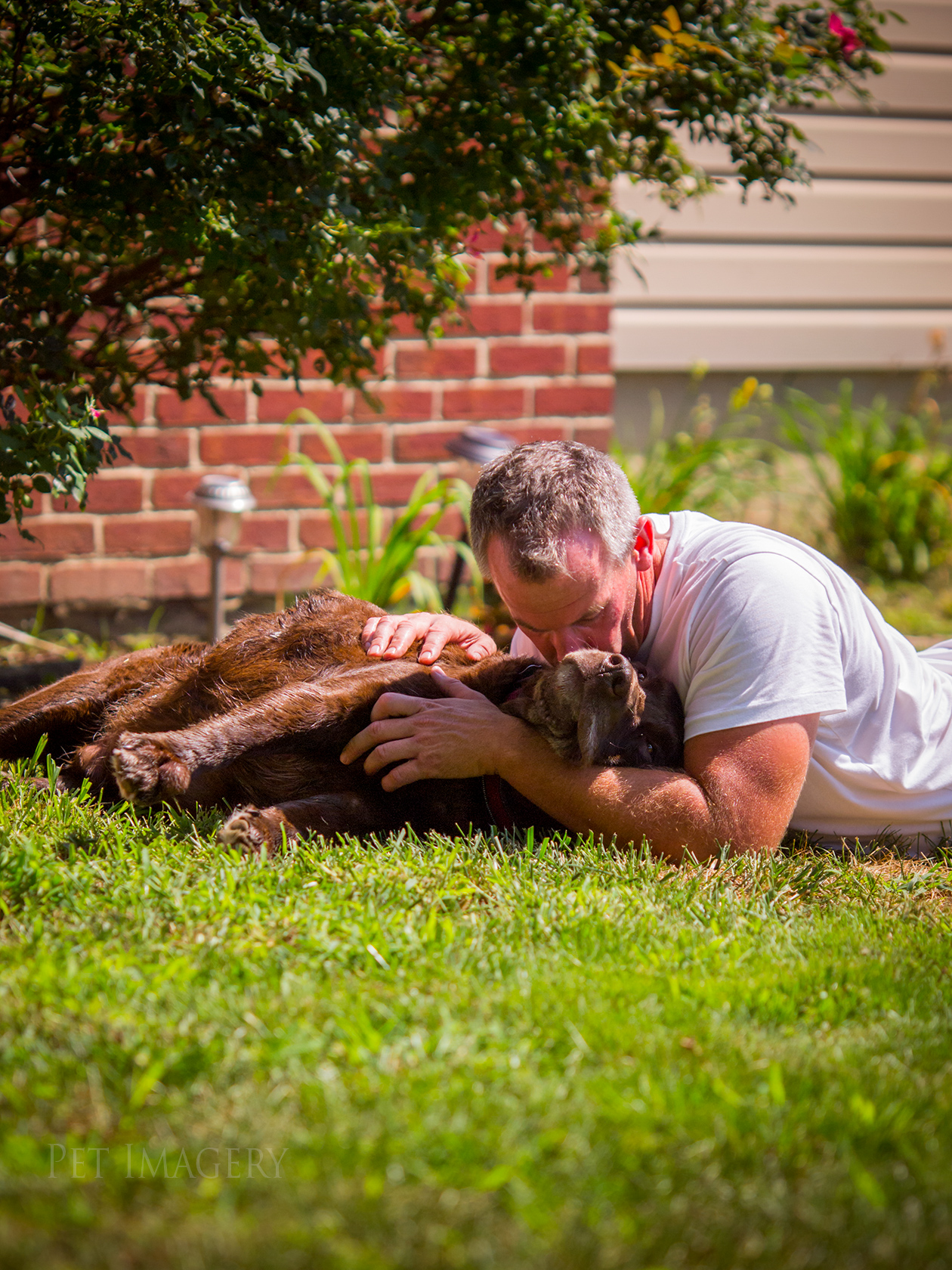 best pet photography kaplan