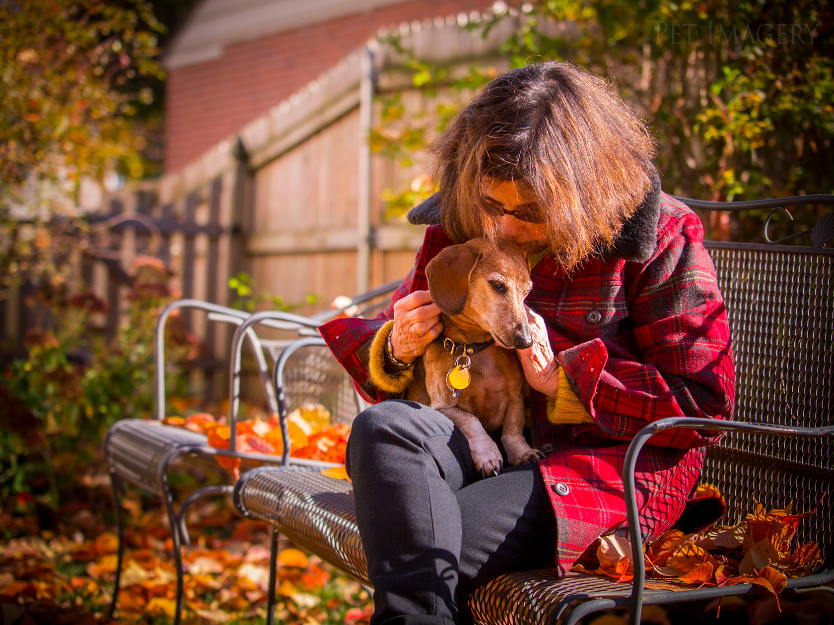 best pet photography kaplan dog