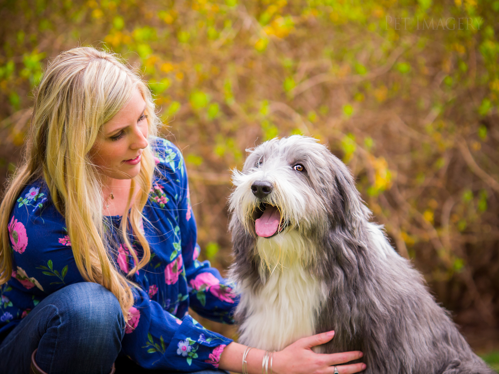 best pet dog photography kaplan