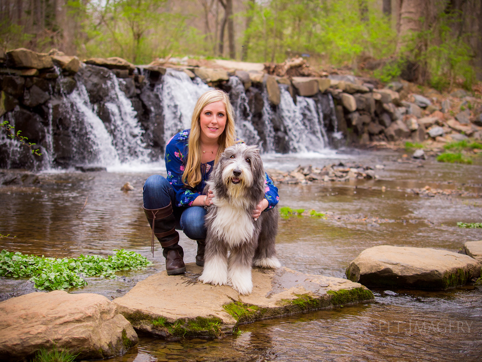 best pet dog photography kaplan