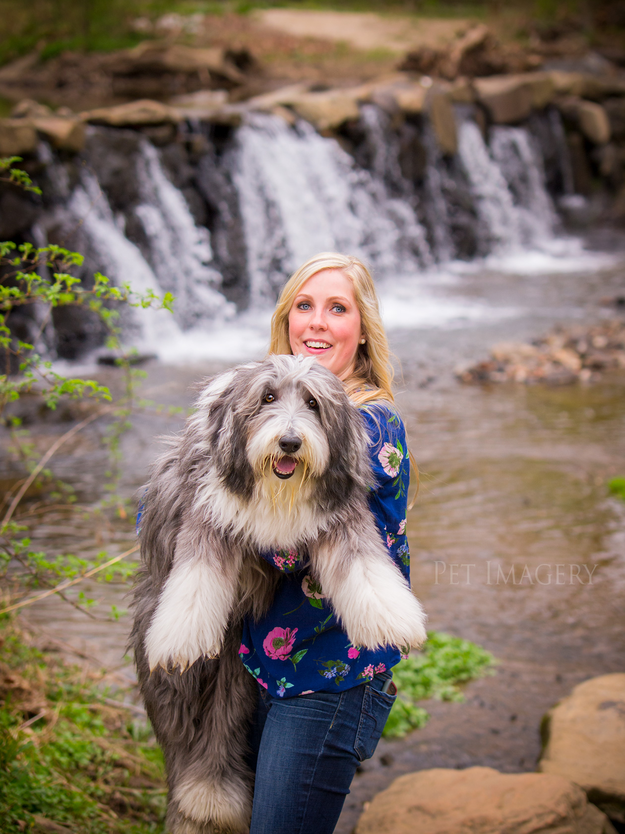 best pet dog photography kaplan