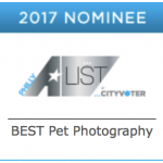 philly a-list best pet photography
